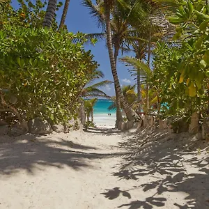Dos Ceibas - Massage & Yoga Inclusive Mexico